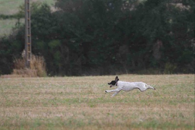 des Plaines de Nadurelle - photos de Feline lors du Tan 2012
